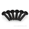 class 12.9 black oxide coating Cross recessed mushroom head screws